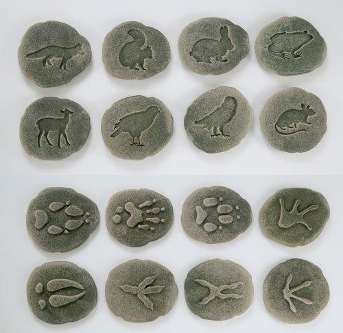 Animals & Footprints: Woodland Sensory Stones Set (C)