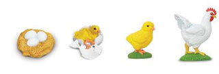 Lifecycle Replicas: Chicken Stages (C)