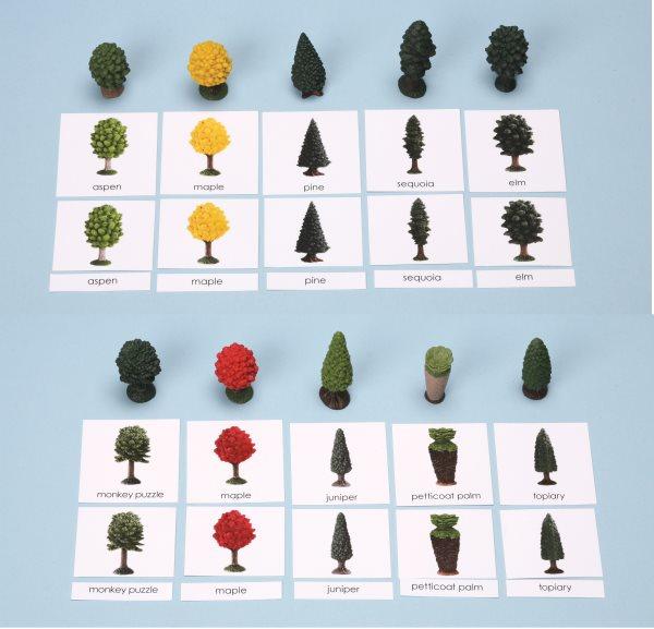 Trees Miniatures with 3-Part Laminated Cards (C)