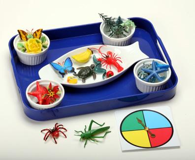 Colors in Nature Object Sorting Kit (C)